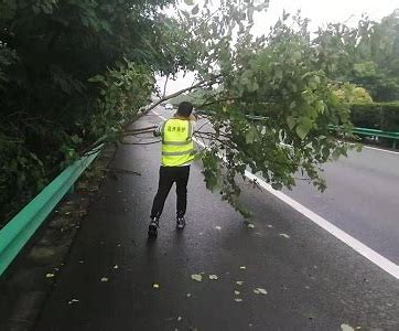 轻量化养护道路智能巡检系统-国朗